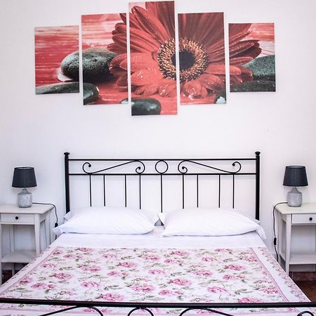 B&B Villa Susanna Civitavecchia Zewnętrze zdjęcie